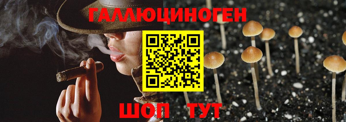 Галлюциногенные грибы MAGIC MUSHROOMS  Вход с VPN  Кудрово 