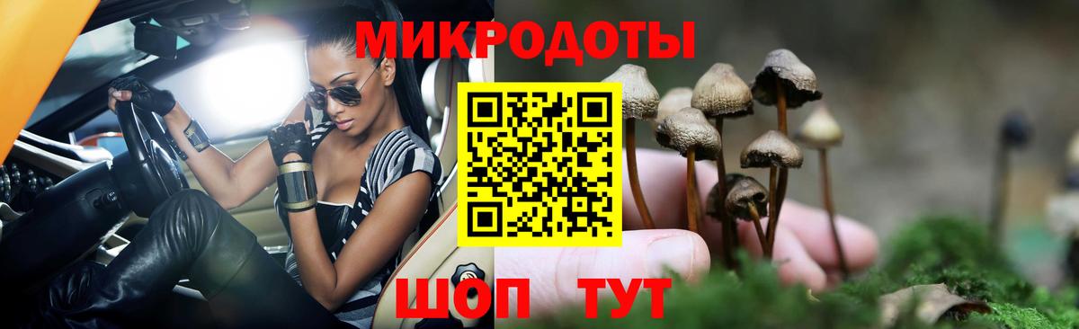 Галлюциногенные грибы GOLDEN TEACHER Кудрово
